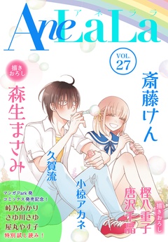 Vol.27