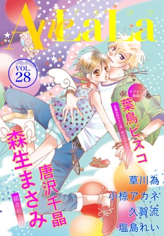 Vol.28