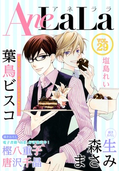 Vol.29