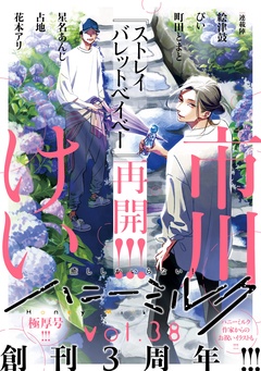 vol.38