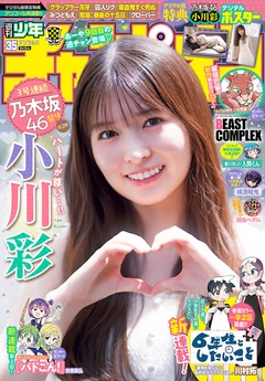 2026年35号