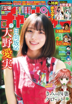 2026年26号