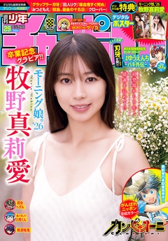 2026年29号